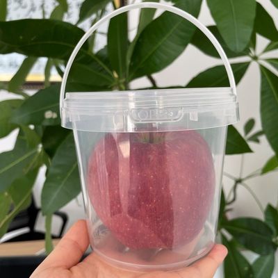 3L 4L 5L 6L 8L 10L 18L Seignettes avec couvercle Contenant de seau en plastique avec couvercle étanche