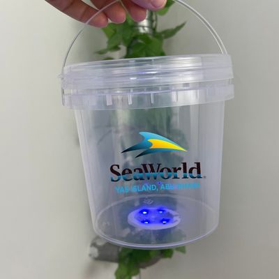 Boîte en plastique durable personnaliser le contenant de crème glacée en PP avec un design personnalisé