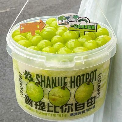Emballez facilement les aliments avec ce récipient en plastique imprimé à transfert de chaleur